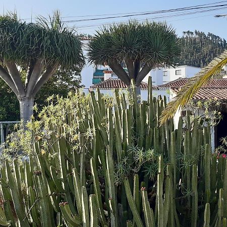 Casa Rural Los Dragos Fuencaliente de la Palma Exteriér fotografie