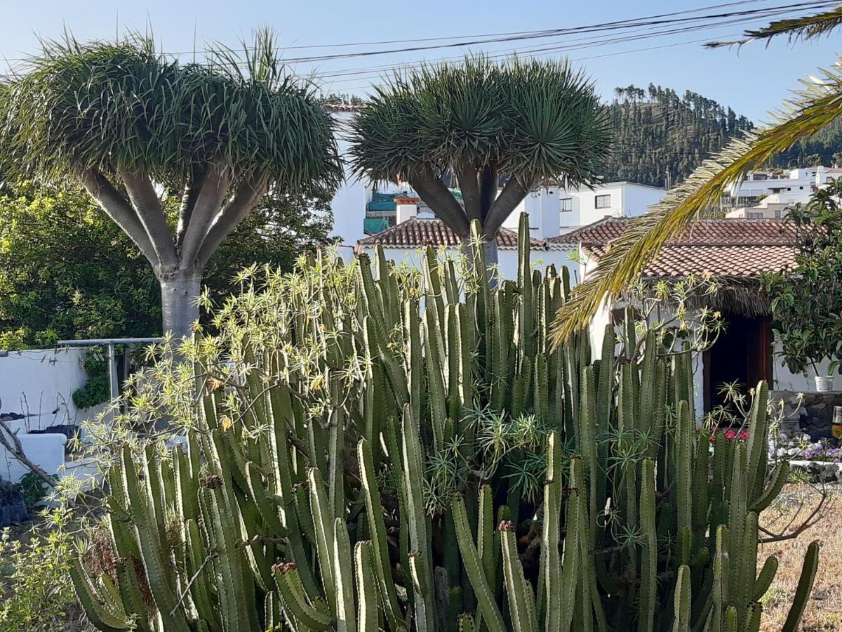 Casa Rural Los Dragos Fuencaliente de la Palma Exteriér fotografie